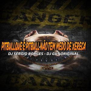 MC TH PITBULL QUE É PITBULL