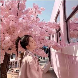 迦奥特曼 (DJ版)