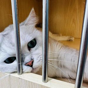 憎你的第一首歌