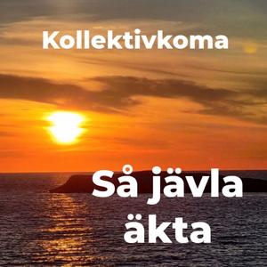 Så jävla äkta (Live)
