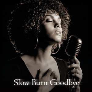 Slow Burn Goodbye