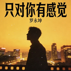 只对你有感觉