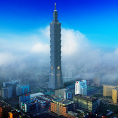 其实我真的忘不了你