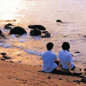 寻找那个最后陪你流浪的人