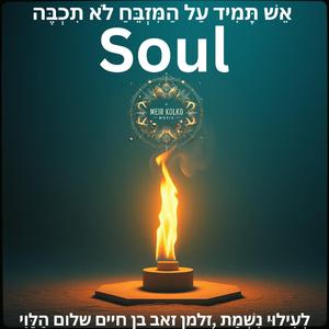 Soul - לְעִילוּי נִשְׁמַת ,זלמן זאב בן חיים שלום הַלֵּוִי