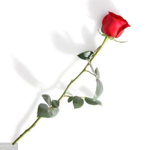 不曾爱过你(prod.ATTBEAT)