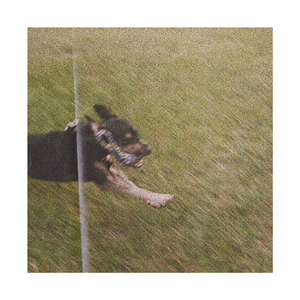 dec.6.19