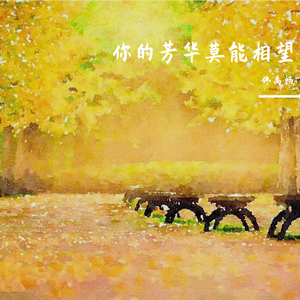你的芳华莫能相望