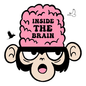 Inside The Brain