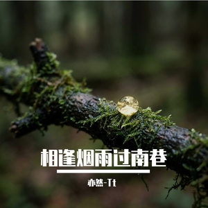 相逢烟雨过南巷