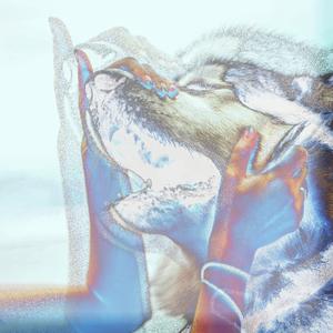 IMFEELINU (DOG FIGHT)