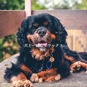 Memories (Soothing Days)