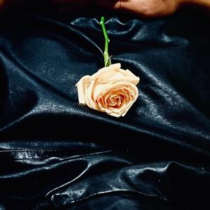 青春伤痛文学（prod.Morrow)