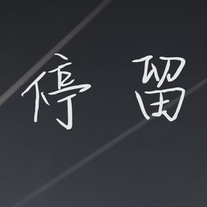 停留