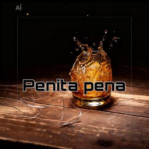 Penita pena