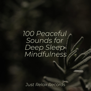 Echoes of the Himalayas