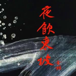 夜饮东坡