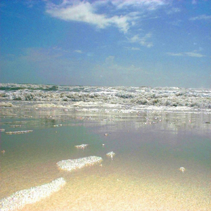 From a Distance (feat. Chas Evans)