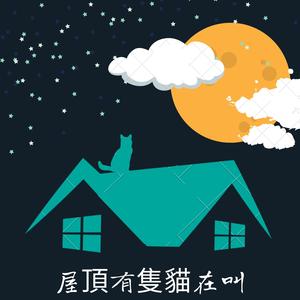 屋頂有只貓在叫