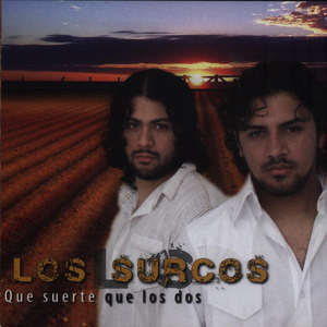 Homenaje, Selección de Zambas: Camino y Piedra / Luna Tucumana / La Pobrecita / Adios Tucumán / Zamba del Grillo