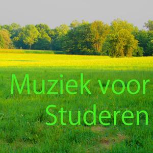 Muziek voor Studeren 7