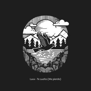 Te suelto (Me pierdo)