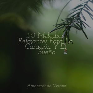 Armonía de la Sinfonía Solitaria