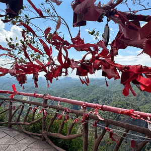 边走边忘是一种豁达