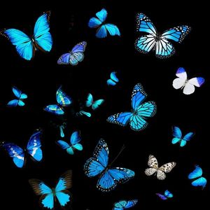 心球流浪汉（Demo2.0）