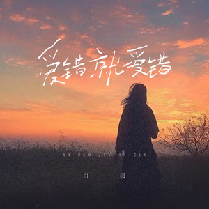 爱错就爱错 (伴奏)