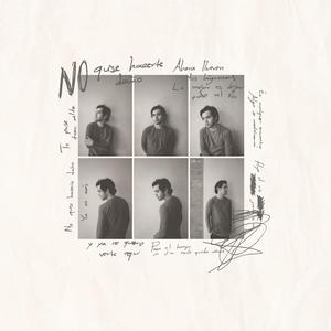 NO QUISE HACERTE DAÑO