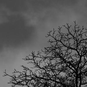 Lament (Acoustic Version)