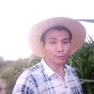 红尘情歌（伴奏）