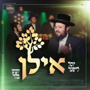 אילן (feat. מקהלת מלכות)