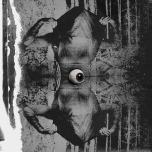 MISUNDERSTOOD(已售出)