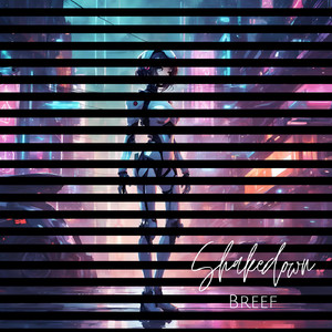 Shakedown