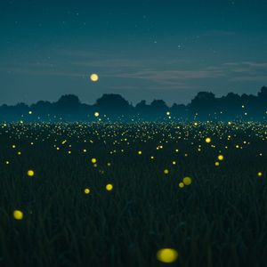 밤하늘에 남긴 노래 I