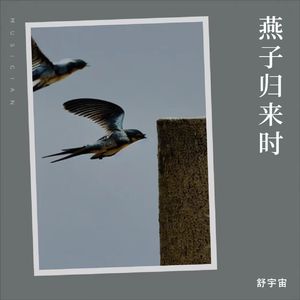 燕子归来时 伴奏