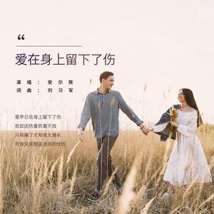 爱在身上留下了伤 (三步踩)