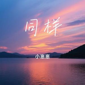 同样 (Cover Lambert & Pony Soore & 杨胖雨)