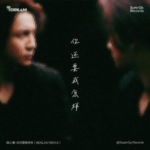 心瘾-你还要我怎样 -  Benlam Remix（Benlam remix）