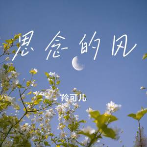 思念的风
