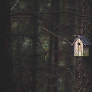 无孟子（翻自 周汤豪）