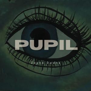 Pupil