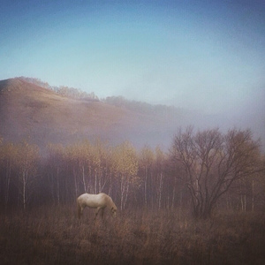 微光（翻自 苏打绿）