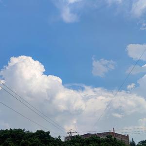 心动不止一夏（阿灵 remix）