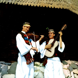 Fecioresc Din Maramureș