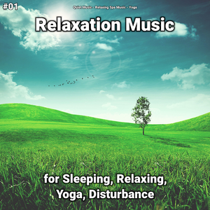 Relaxation Music, Pt. 41