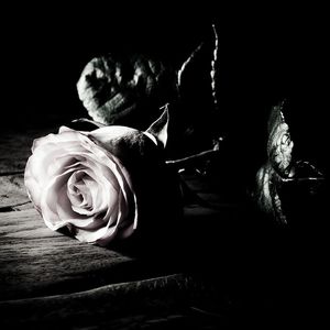 星空（prod by EVO Music）