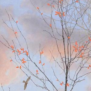 我还有点小糊涂